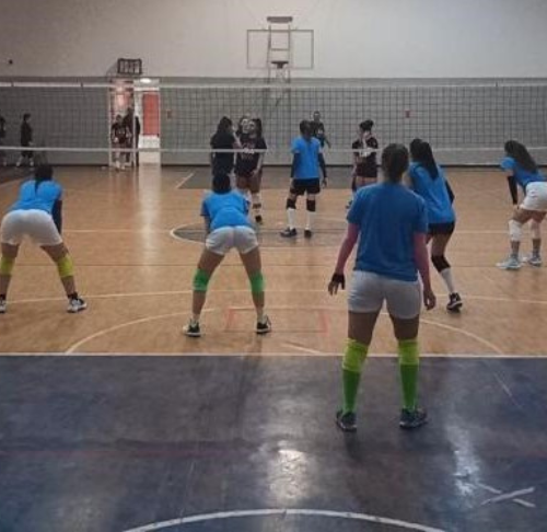 Consorzio Napoli Volley