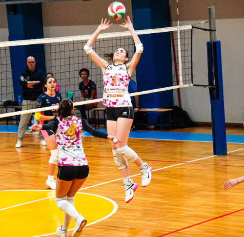 HL Immobiliare Volley Belluno