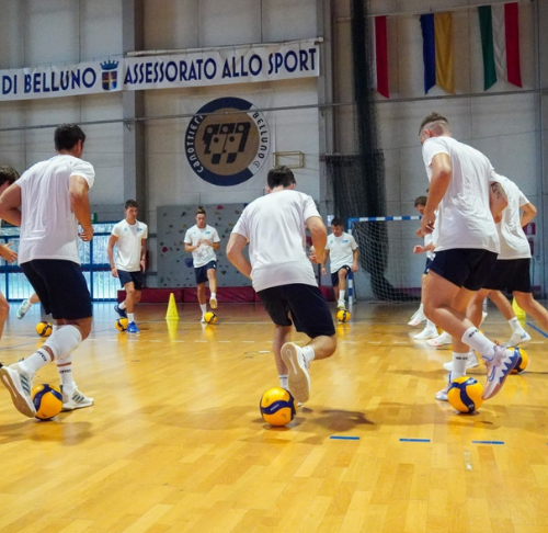 Belluno Volley