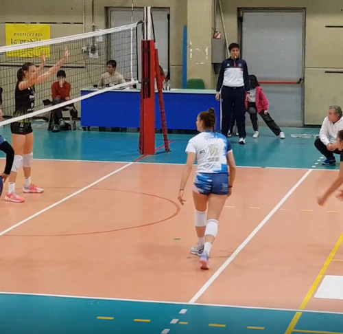 Volley Modena