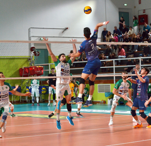 Pallavolo Bologna