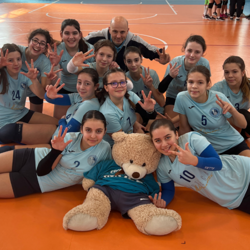 Diffusione Pallavolo Imola