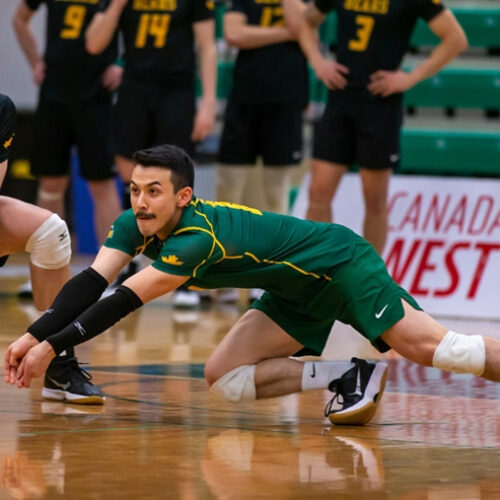 Landon Currie University of Alberta