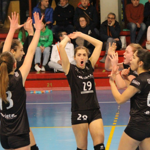 Ariete Pvp Pallavolo