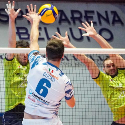 Belluno Volley