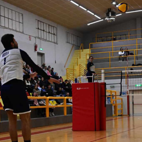 Nef Re Salmone Volley Libertas Osimo