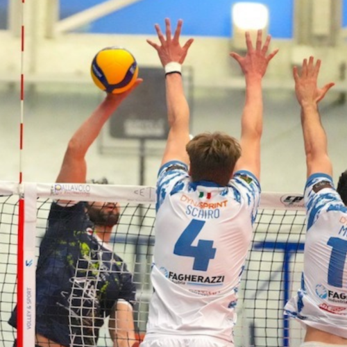 Belluno Volley