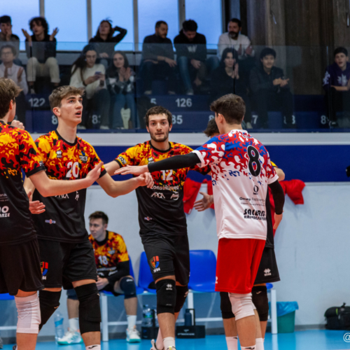 Montesi Volley Pesaro