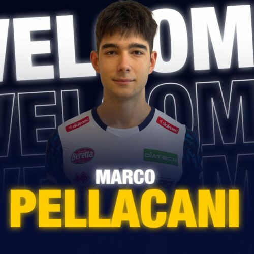 Marco Pellacani