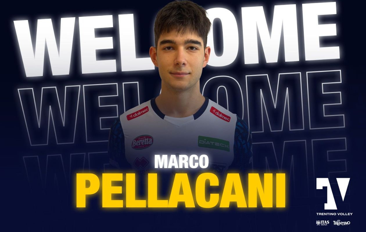Marco Pellacani
