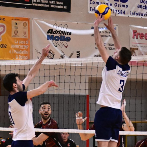 Riccardo Cremascoli Nef Re Salmone Volley Libertas Osimo